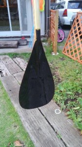 今年のＳＵＰパドル