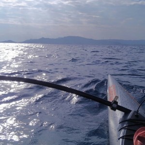 今年もよろしくお願いいたします