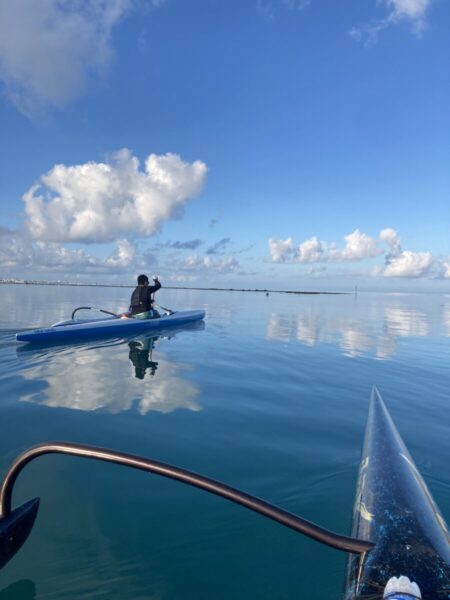 10月より法人化に伴い価格変更と消費税導入いたします